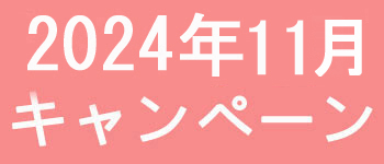 11月キャンペーン開催中です！